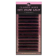 Glamour Lashes Easy Volume Lashes